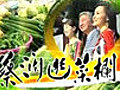 蔡瀾逛菜欄 - 韓國美食之旅 - 第1集