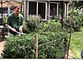 Using a Level to Prune a Hedge