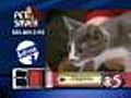 PetSaver: Capone the Cat