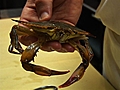 How to Clean Soft-Shell Crab