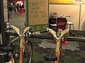 Ambiente: bici,  la regina del trasporto eco