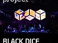 Black Dice & Animal Collective