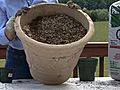 Herb Garden - How to Make Your Own Potting Soil