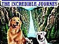 Homeward Bound: The Incredible Journey