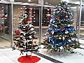 2010年のクリスマス!