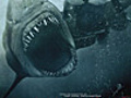 &#039;Shark Night 3D&#039; Teaser Trailer