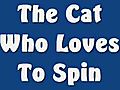 The Cat Who Loves To Spin