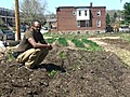 Urban farming in vacant lots