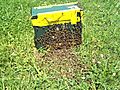 Bee Swarm Capture,  Part 5
