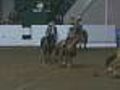 Horses,  Riders Put On A Show At The State Fair