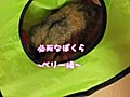 必死なぼくら