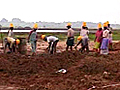 The &#039;big green lie&#039;: Wetland declared wasteland in Andhra Pradesh