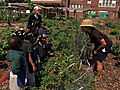 Emeril Green: Edible Schoolyard