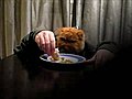 Cat enjoying dinner