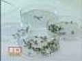 First Cases Of West Nile Virus Diagnosed In Md.