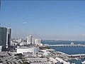 Raw Video; Flocks of Vultures Invade Miami Apartment Buildings