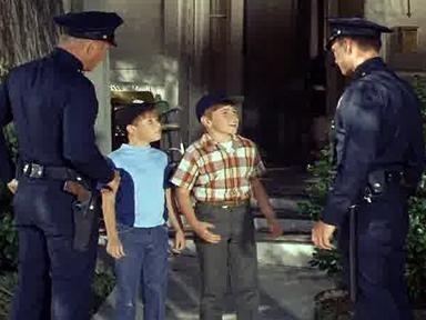 Adam-12 - Log 72: El Presidente