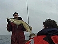 Hervorragende Hechtangelei in den Bodden