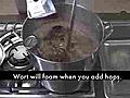 Adding Hops to Boiling Wort