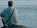 Top Picks : Whale sighting : CTV National News: Penny Daflos on the sighting