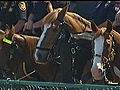 Deputies Salute Horse That Died At JITH