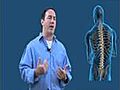 Chiropractic Care Green Acres Florida Physical Therapy Neck Pain