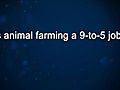 Curiosity: Nicolette and Bill Niman: Animal Farming 9 - 5?