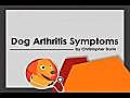 Dog Arthritis Symptoms