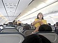 Flight Attendants Do Lady Gaga