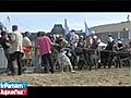 Des people et des ânes débarquent sur la plage de Trouville