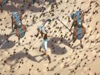 Age Of Empires Online: Spannungsgeladener Trailer des Strategieepos