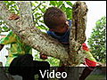 01 Video of Fijian local boys in the village - Yasawa Island Group, Fiji