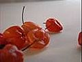 How to Handle a Habanero Chile Pepper