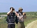 Tagebaulandschaft als Biotop für Vögel