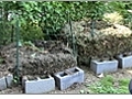 Using Organic Compost in Your Vegetable Garden