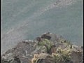 Снайпер уничтожает моджахедов в горах Афганистана