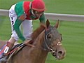 Animal Kingdom still Preakness favorite