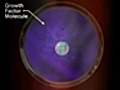 Australian doctor claims IVF innovation