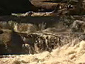 Royalty Free Stock Video HD Footage Close Up of Rushing Water from a Small Stream in North Carolina