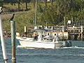 Royalty Free Stock Video HD Footage Boat Traffic at the Inlet in Jupiter,  Florida