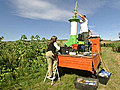 Biogas aus Wildpflanzen