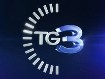 TG3 ore 19:00 del 01/02/2011