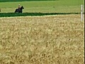 A Cheval sur la Côte Picarde -centres équestres,  équitation Crotoy (Le) 80550 Somme