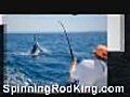 Buy fishing rod