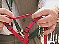 How To Put On A Dog Harness