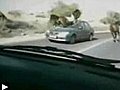 Accident cheval contre voiture sur autoroute-clashbuzz