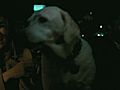 Last Night - Trailer