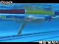 Video hướng dẫn tập bơi_4.flv