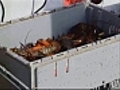 Proposal to ban lobster fishing on East Coast killed