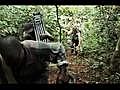 Life: Filming Chimpanzees